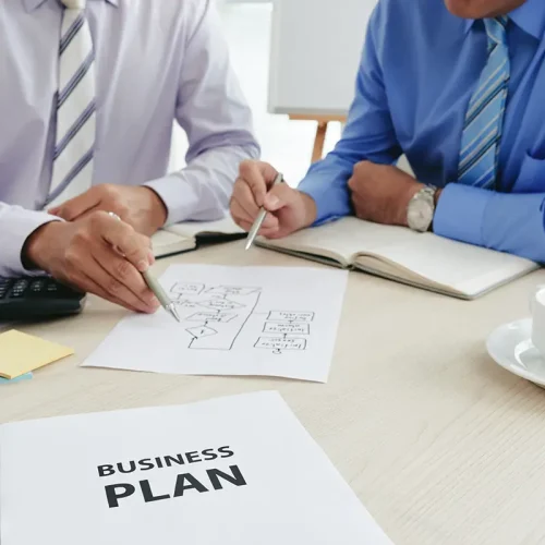 company future plan company future plan